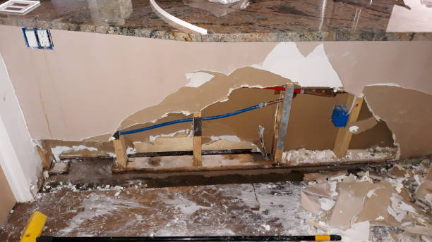 Best Flooded house restoration  in Algoma, WI