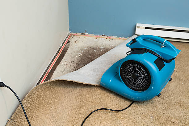 Best Sewage cleanup and water damage restoration  in Algoma, WI